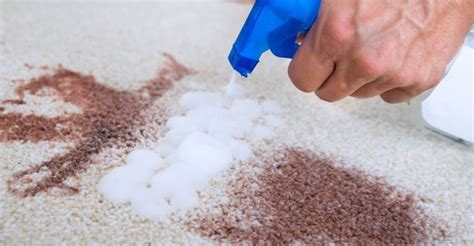 How to Choose the Right Magic Carpet Spot Cleaner for Your Needs